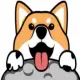 MoonDogeCoin