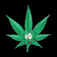 Weedswap Logo