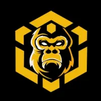 BSC KONG Logo