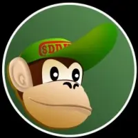 Diddykong Logo
