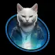 Kittymemecoin