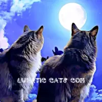 Lunatic Cats Logo