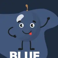 BlueBerryExchange Logo