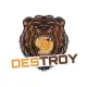Destroy Token