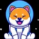 Hachiko BSC
