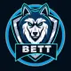 BETATEAM