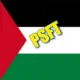 Palestine Fan Token