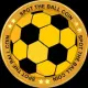 Spottheballcoin