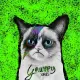 Grumpy Xrpcto