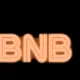 BNB INU