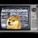 MicroDogeInu