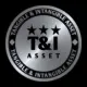 TangibleIntangibleAssets