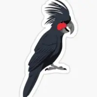 Palm Cockato Logo