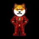 FLASHI SHIBA INU