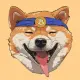 BitDoge token