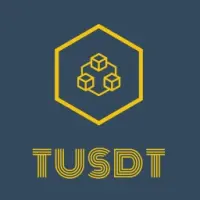 TUSDT Logo