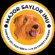 Major Saylor Inu