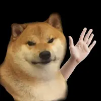 Shiba Slap Logo