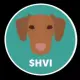 Hungarian Vizsla Inu