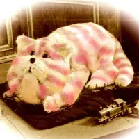Bagpuss Token Logo