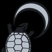 Turtle Moon Logo