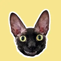 PIXEL the cat Logo