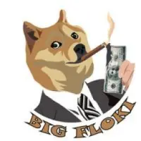 BIG FLOKI Logo