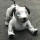AIBO