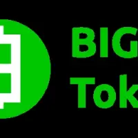 BigToken Logo