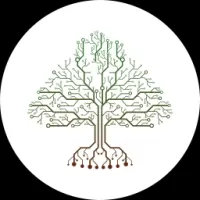 CedarToken Logo