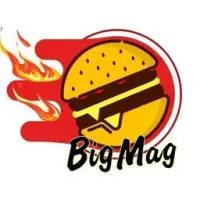 BIG MAG Logo