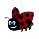 Little LadyBird