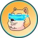 DOGE SQUARED COIN