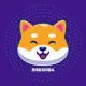 RiseShiba