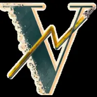 VefiNetwork Logo