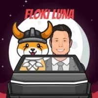 BABY FLOKI LUNA Logo