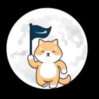 BABY DOGE STARS Logo