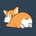 CorgiCoin BSC Logo