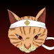 Cat Ninja