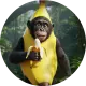 Monkana sol