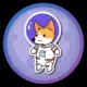 CosmoDOGE