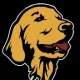 Retriever inu