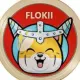 Floki Kishu Inu