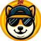 DOGE HEAD COIN