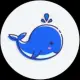 Little Whale Finance