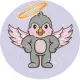 RDIAN ANGEL