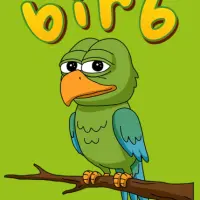 BirbonSol Logo