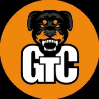 Grand Theft Crypto (Encrypta City) Logo