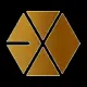 Exo Fortune