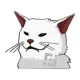 SMUDGE COIN